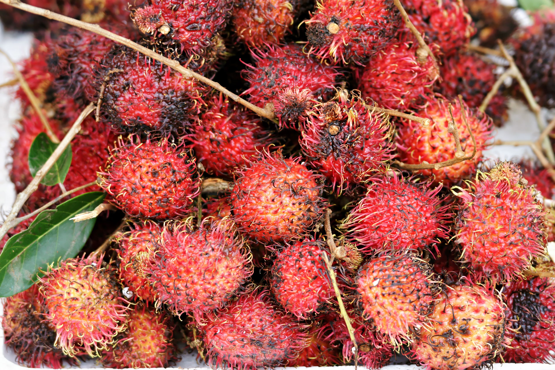 Auf dem Markt des Dorfs Preah Dak im Gebiet von Angkor